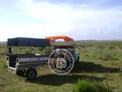 Passeio e Atividades Potrerillo de Santa Teresa Parque Santa Teresa