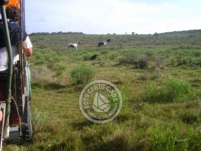 Outdoor activities Potrerillo de Santa Teresa Parque Santa Teresa
