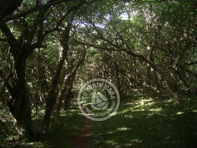 Outdoor activities Potrerillo de Santa Teresa Parque Santa Teresa