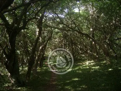 Passeio e Atividades Potrerillo de Santa Teresa Parque Santa Teresa