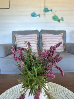 Cabin Lo de Lu - Celeste Punta del Diablo