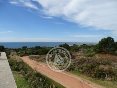 Casa Mburucuya Punta del Diablo
