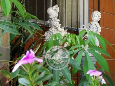 House El Paraíso Piriapolis