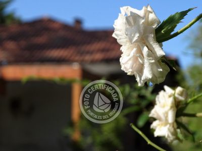 House El Paraíso Piriapolis