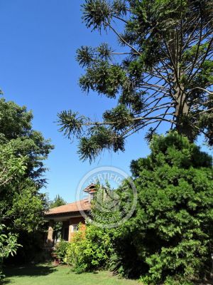 House El Paraíso Piriapolis