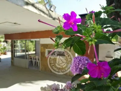 House El Paraíso Piriapolis