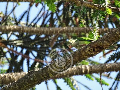 House El Paraíso Piriapolis