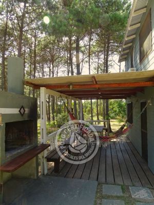 Cabaña La del Bosque Punta del Diablo .- Foto del 21/12/22, 13:26