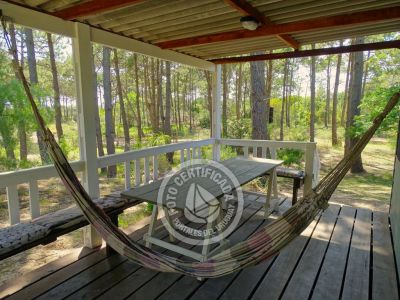 Cabaña La del Bosque Punta del Diablo .- Foto del 21/12/22, 13:26