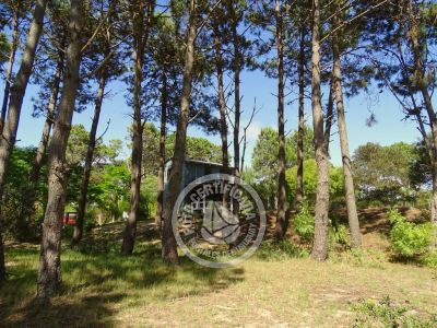 Cabana La del Bosque Punta del Diablo