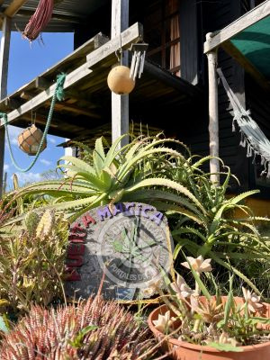 Complejo Puerta Mágica Cabo Polonio