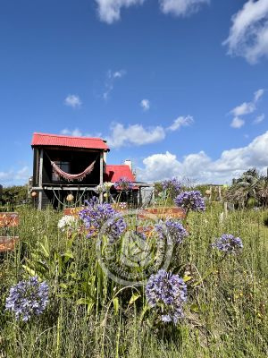 Complejo Puerta Mágica Cabo Polonio