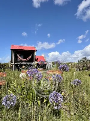 Complexo Puerta Mágica Cabo Polonio