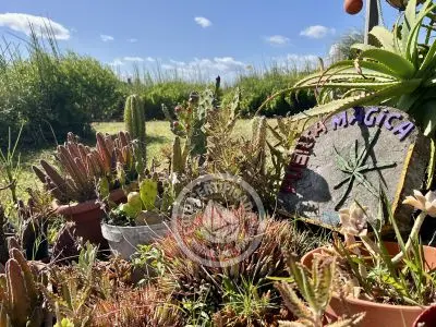 Complexo Puerta Mágica Cabo Polonio