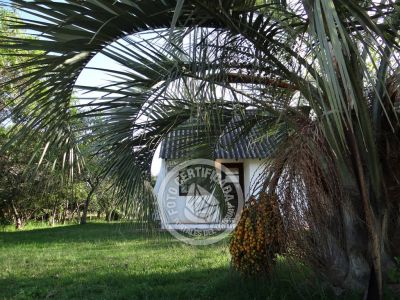 La columna de María José ¡La mesa esta servida! Aguas Dulces
