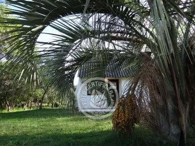 Column of María José ¡La mesa esta servida! Aguas Dulces