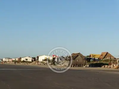 Column of María José ¡La mesa esta servida! Aguas Dulces