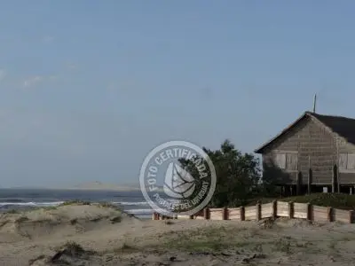 Column of María José ¡La mesa esta servida! Aguas Dulces