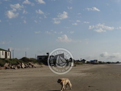 La columna de María José ¡La mesa esta servida! Aguas Dulces