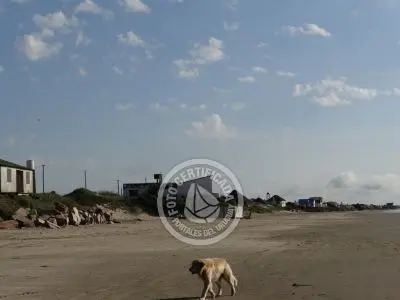 Column of María José ¡La mesa esta servida! Aguas Dulces