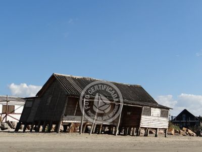 La columna de María José ¡La mesa esta servida! Aguas Dulces