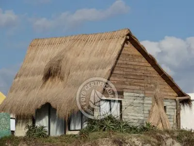 Column of María José ¡La mesa esta servida! Aguas Dulces