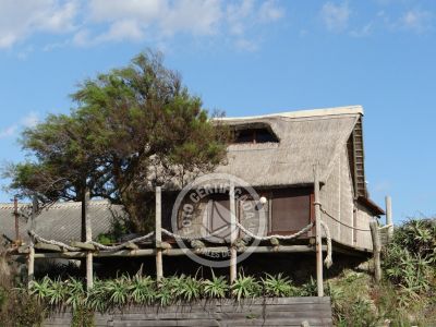 La columna de María José ¡La mesa esta servida! Aguas Dulces