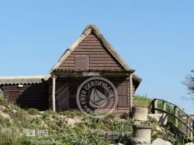 Column of María José ¡La mesa esta servida! Aguas Dulces