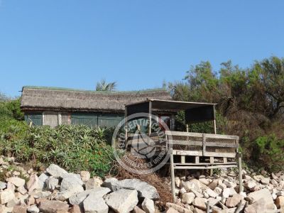 La columna de María José ¡La mesa esta servida! Aguas Dulces