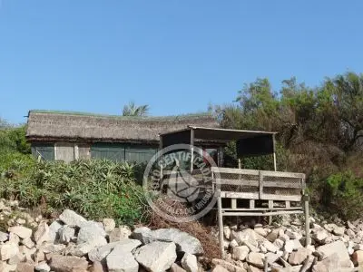 Column of María José ¡La mesa esta servida! Aguas Dulces