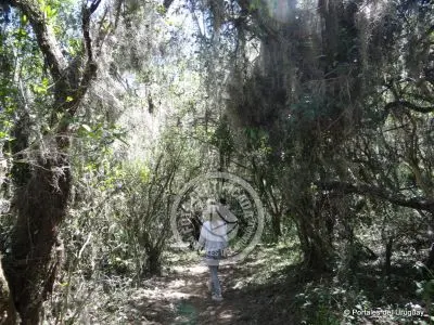 Passeio e Atividades Quebrada de los Cuervos Treinta y Tres