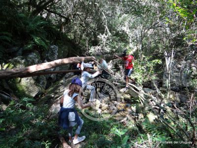 Paseos y Actividades Quebrada de los Cuervos Treinta y Tres