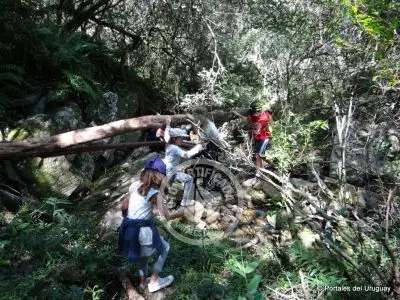 Passeio e Atividades Quebrada de los Cuervos Treinta y Tres