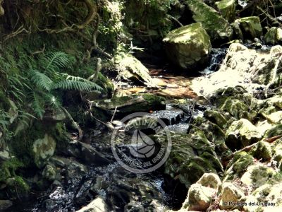 Paseos y Actividades Quebrada de los Cuervos Treinta y Tres