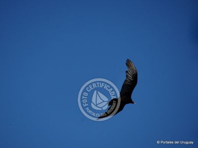 Paseos y Actividades Quebrada de los Cuervos Treinta y Tres