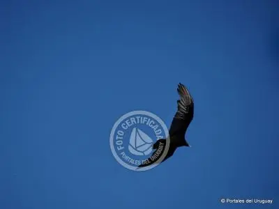 Passeio e Atividades Quebrada de los Cuervos Treinta y Tres