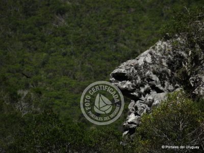 Paseos y Actividades Quebrada de los Cuervos Treinta y Tres