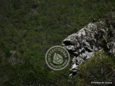 Passeio e Atividades Quebrada de los Cuervos Treinta y Tres