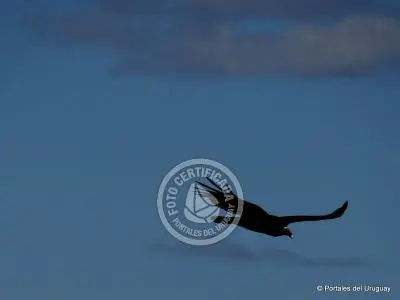 Passeio e Atividades Quebrada de los Cuervos Treinta y Tres