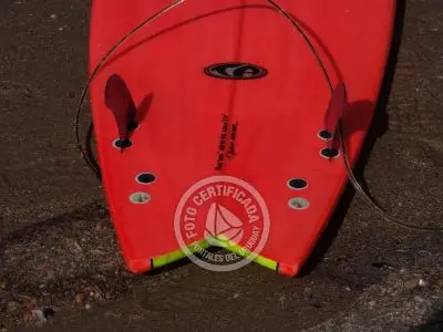 Evento Así se vivió el longboard de campeonato en Rocha! Parque Santa Teresa