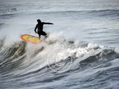 Evento Así se vivió el longboard de campeonato en Rocha! Parque Santa Teresa