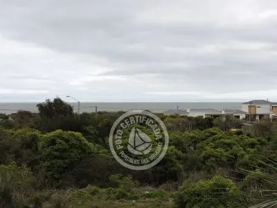 Casa El Bucanero La Paloma