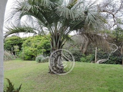 House El Bucanero La Paloma