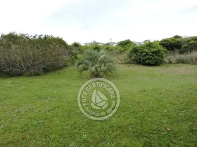 Casa El Bucanero La Paloma