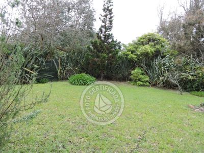 House El Bucanero La Paloma