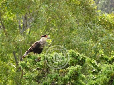 Outdoor activities Reserva de Fauna y Parque Cerro Pan de Azúcar Piriapolis