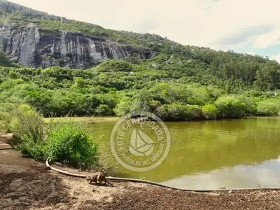 Paseos y Actividades Reserva de Fauna y Parque Cerro Pan de Azúcar Piriápolis