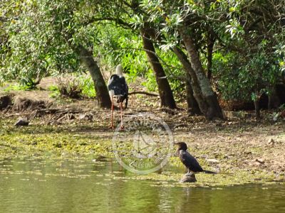 Outdoor activities Reserva de Fauna y Parque Cerro Pan de Azúcar Piriapolis