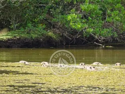 Paseos y Actividades Reserva de Fauna y Parque Cerro Pan de Azúcar Piriápolis