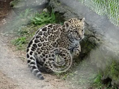 Paseos y Actividades Reserva de Fauna y Parque Cerro Pan de Azúcar Piriápolis